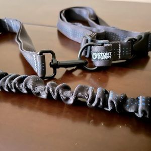 Stunt puppy leash for running.